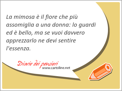 La mimosa  il fiore che pi assomiglia a una donna: lo guardi ed  bello, ma se vuoi davvero apprezzarlo ne devi sentire l'essenza.