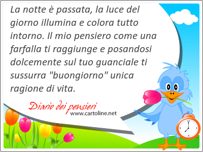 La notte  passata, la luce del giorno illumina e colora tutto intorno. Il mio pensiero come una farfalla ti raggiunge e posandosi dolcemente sul tuo guanciale ti sussurra 