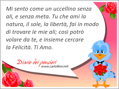 Mi sento come un uccellino senza ali, e senza meta. Tu che ami la natura, il sole, la libert, fai in modo di trovare le mie ali; cos potr volare da te, e insieme cercare la Felicit. Ti Amo.