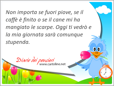 Non importa se fuori piove, se il caffè è finito o se il cane mi ha mangiato le scarpe. Oggi ti vedrò e la mia gior<strong>nata</strong> sarà comunque stupenda.