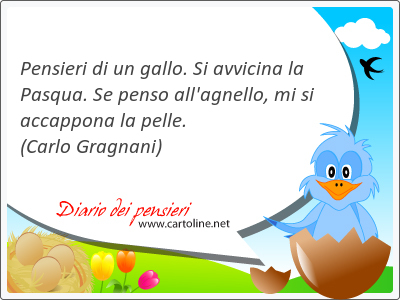 Pensieri di un gallo. Si av<strong>vicina</strong> la Pasqua. Se penso all'agnello, mi si accappona la pelle.