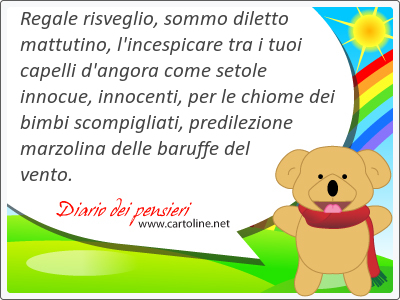 Regale risveglio, sommo diletto mattutino, l'incespicare tra i tuoi <strong>capelli</strong> d'angora come setole innocue, innocenti, per le chiome dei bimbi scompigliati, predilezione marzolina delle baruffe del vento.