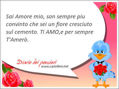 Sai Amore mio, son sempre piu convinto che sei un fiore cresciuto sul cemento. Ti AMO,e per sempre T'Amer.