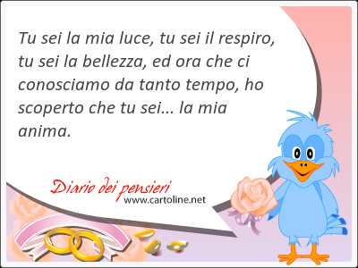 Tu sei la mia luce, tu sei il respiro, tu sei la bellezza, ed ora che ci conosciamo da tanto tempo, ho scoperto che tu sei... la mia anima.