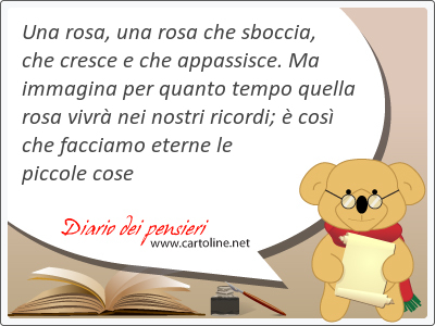 Una rosa, una rosa che sboccia, che cresce e che appassisce. Ma immagina per quanto tempo quella rosa vivr nei nostri ricordi;  cos che facciamo eterne le piccole cose