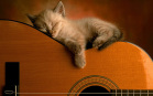 Gattino dorme sulla chitarra