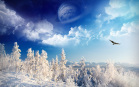 Paesaggio innevato