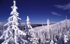 Paesaggio innevato
