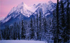 Montagna innevata