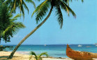 Spiaggia con palme e canoa
