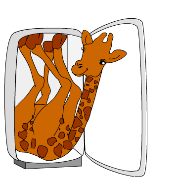 Giraffa dentro al frigo